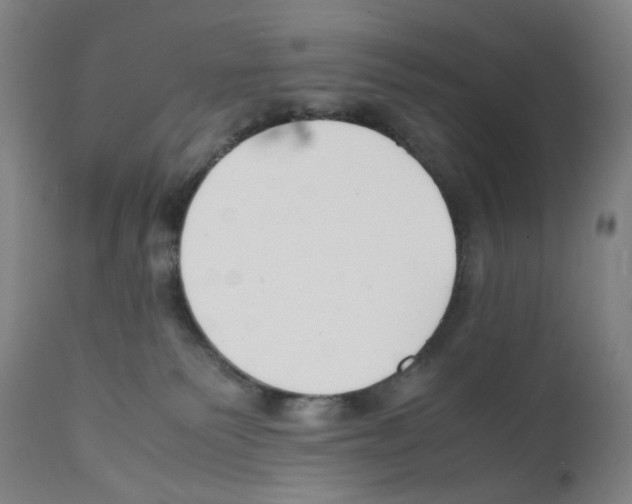 X0000112150135200909181432