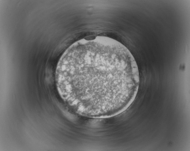 X0000112150136200909181432
