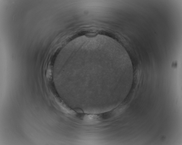 X0000112150137200909181432