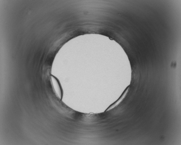 X0000112150141200909181432