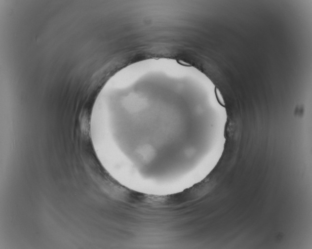 X0000112150143200909181432