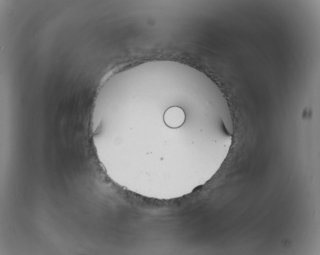 X0000112150144200909181432
