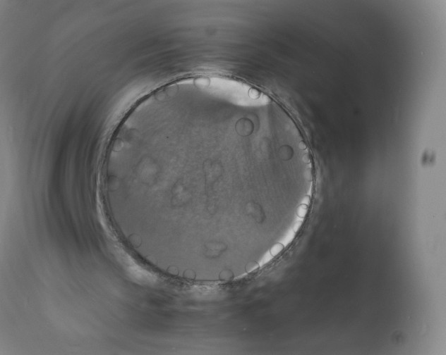X0000112150145200909181432
