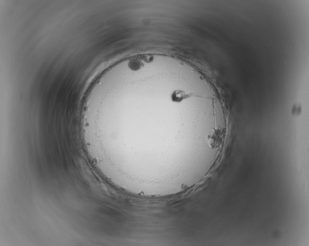 X0000112150146200909181432