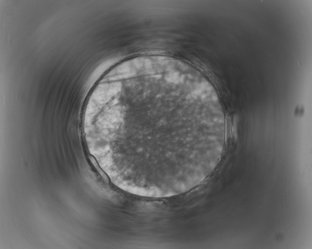 X0000112150147200909181432