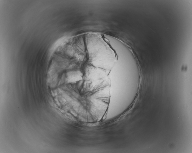 X0000112150149200909181432