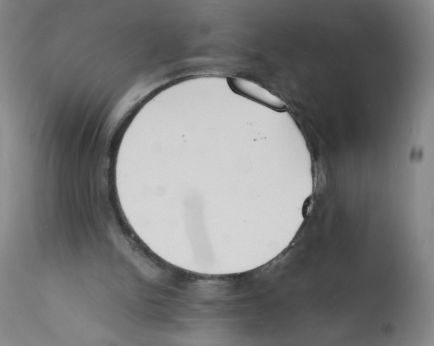 X0000112150150200909181432