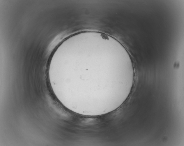 X0000112150151200909181432