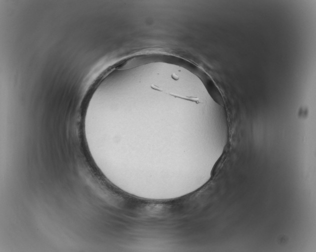 X0000112150152200909181432