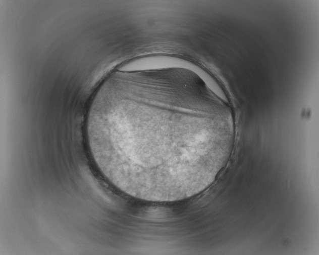 X0000112150154200909181432