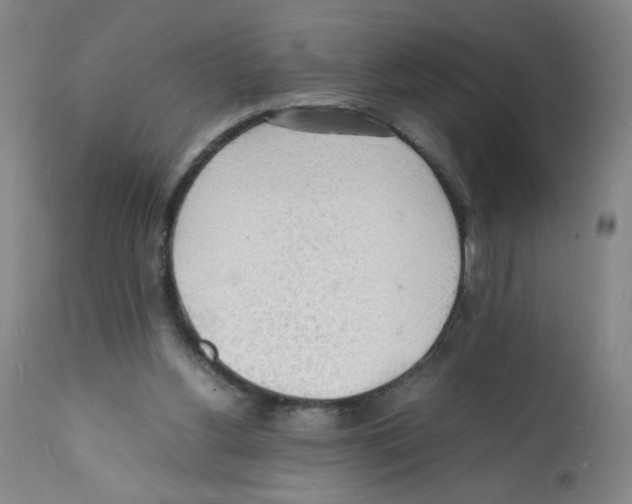 X0000112150156200909181432