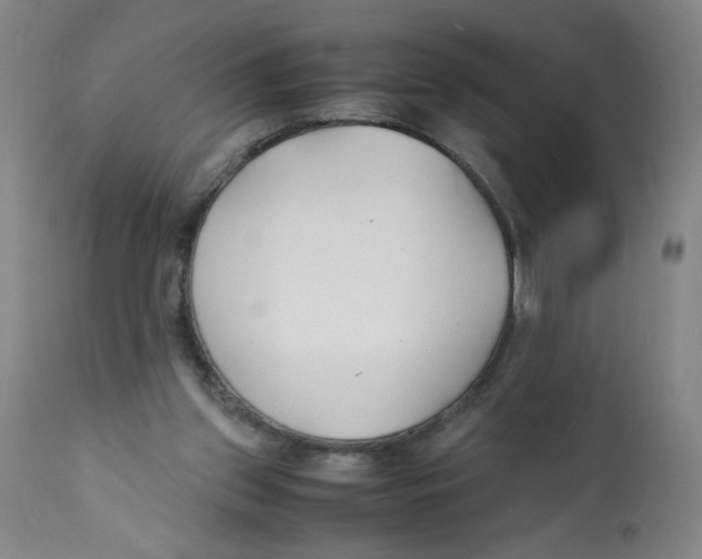 X0000112150157200909181432