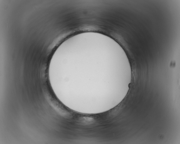 X0000112150159200909181432