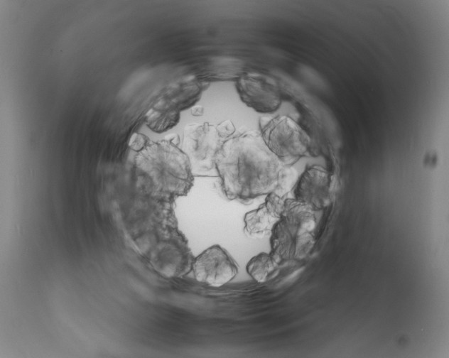 X0000112150161200909181432