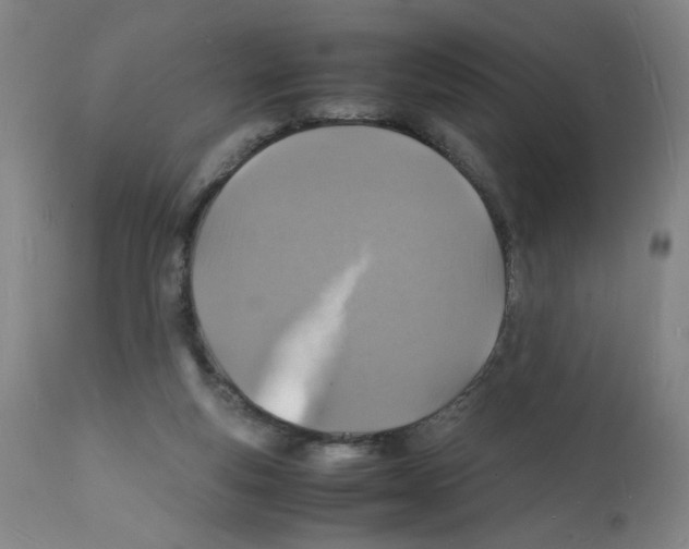 X0000112150163200909181432