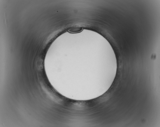 X0000112150164200909181432