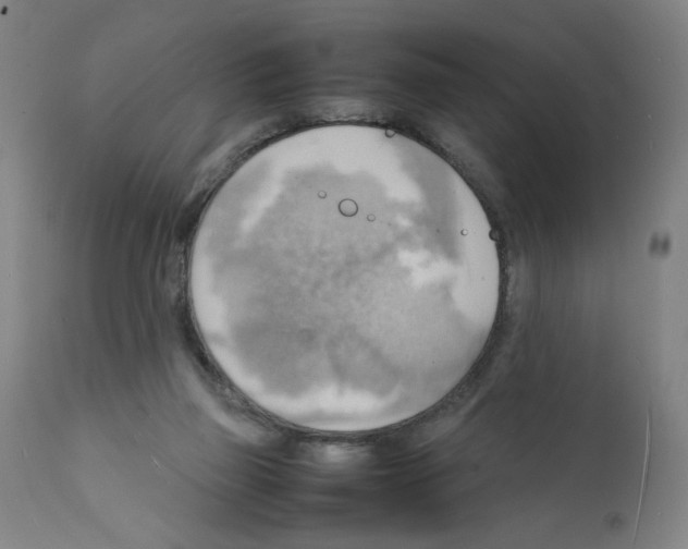 X0000112150165200909181432