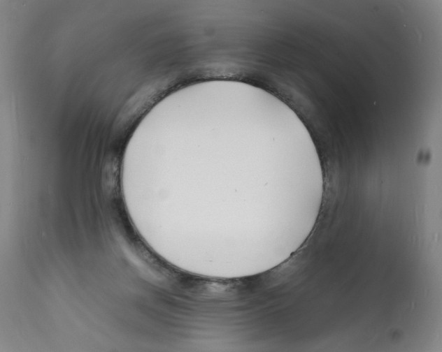 X0000112150166200909181432