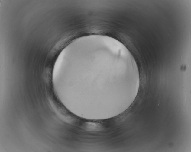 X0000112150167200909181432
