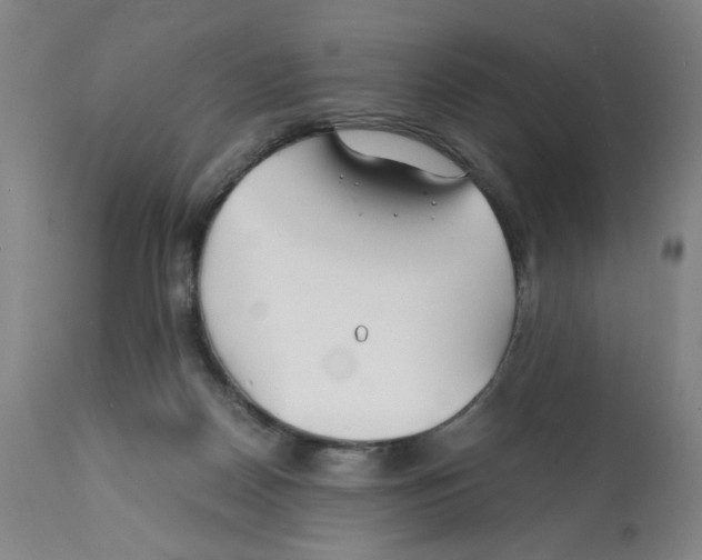 X0000112150170200909181432