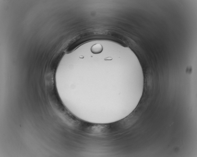 X0000112150172200909181432