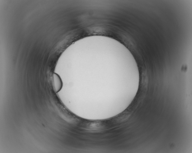 X0000112150173200909181432
