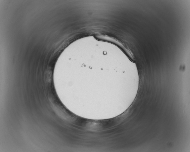 X0000112150174200909181432