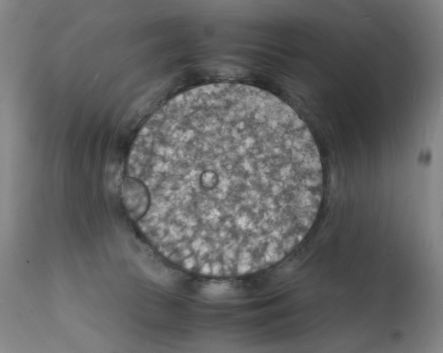 X0000112150177200909181432