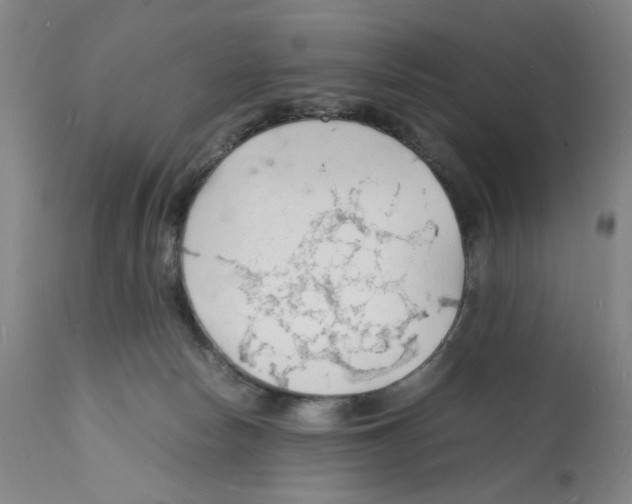 X0000112150178200909181432