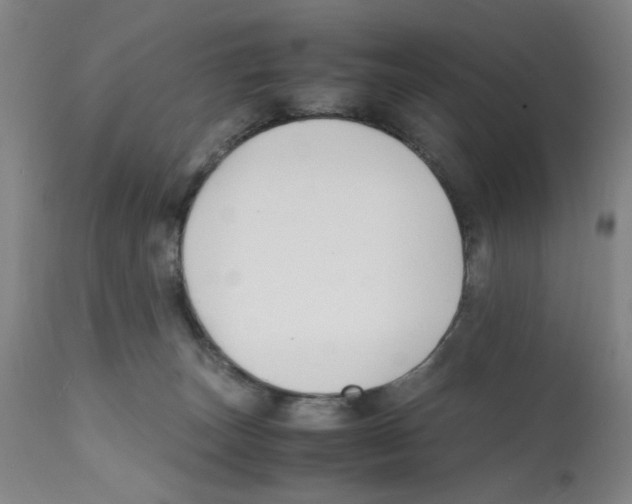 X0000112150179200909181432