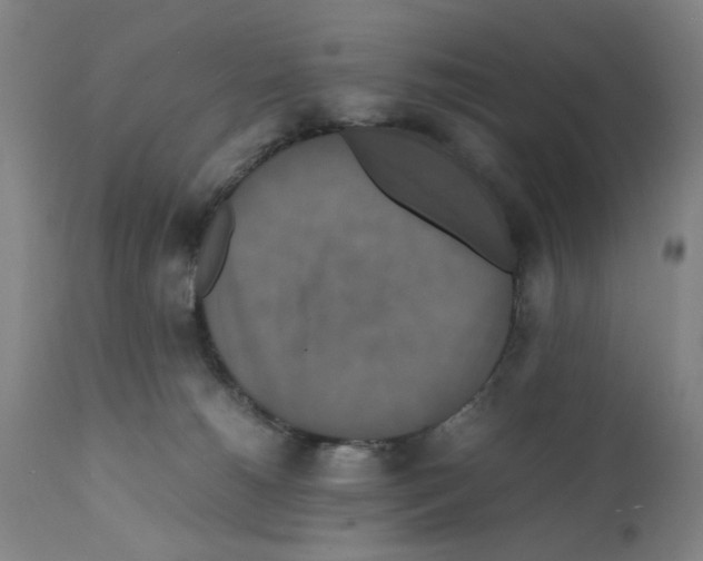 X0000112150180200909181432