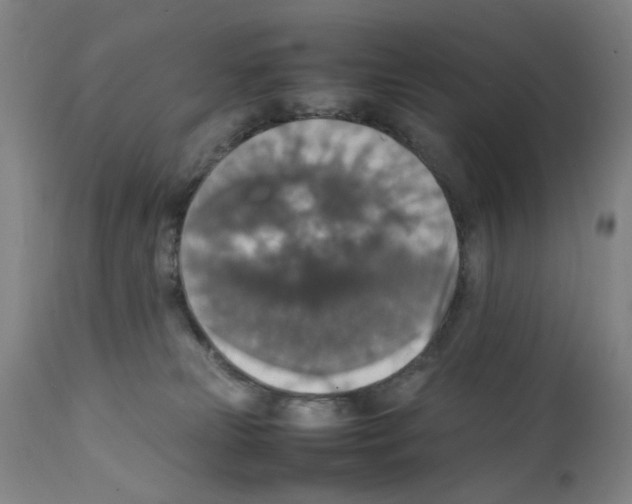 X0000112150181200909181432