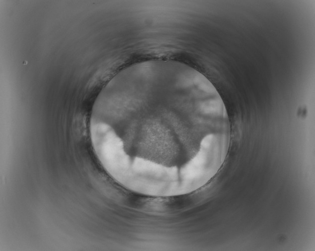 X0000112150182200909181432