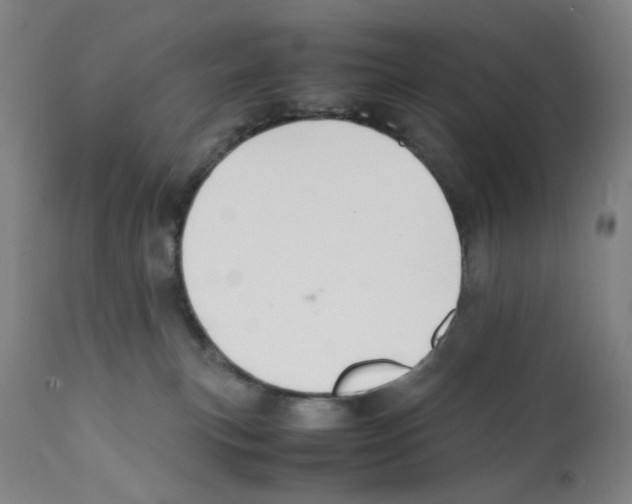 X0000112150183200909181432