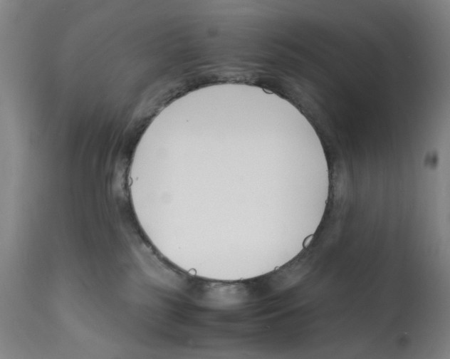 X0000112150185200909181432