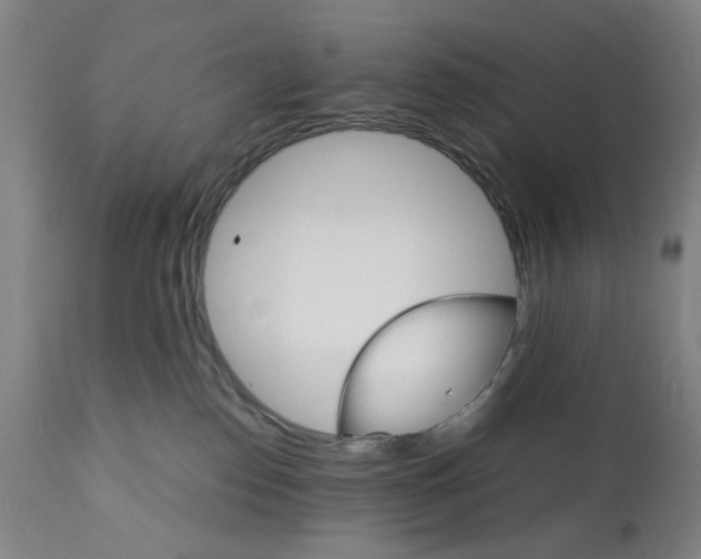 X0000112150186200909181432