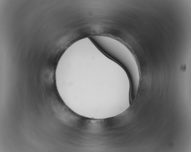 X0000112150188200909181432