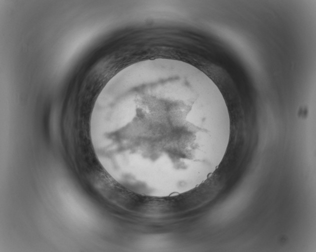 X0000112150189200909181432