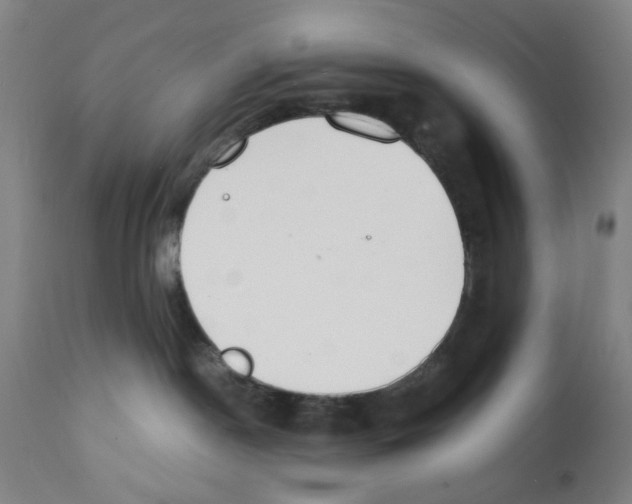 X0000112150190200909181432