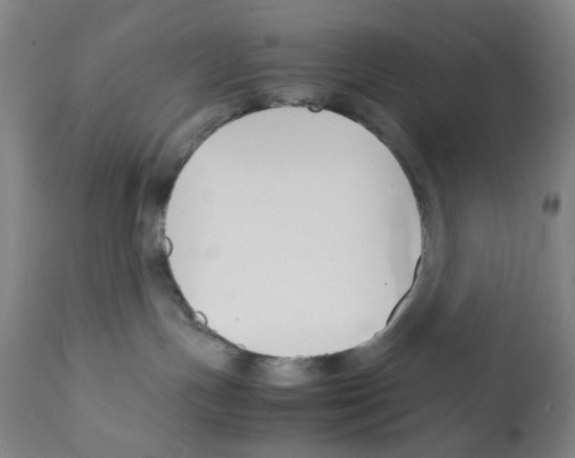 X0000112150191200909181432