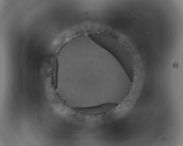 X0000112150192200909181432