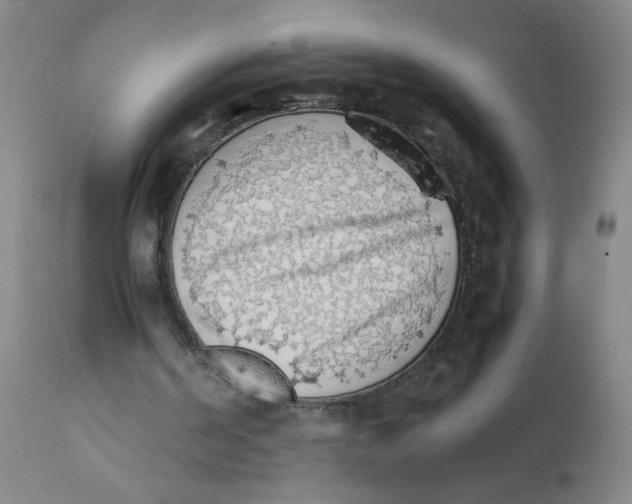 X0000112150194200909181431