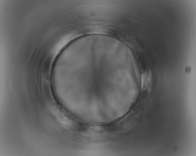 X0000112150195200909181431