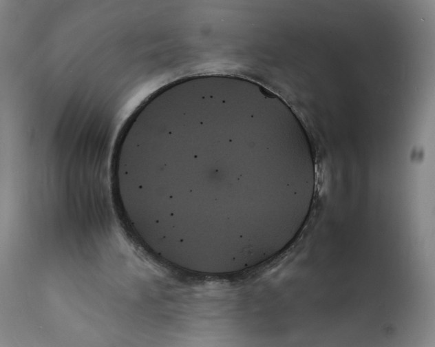 X0000112150196200909181431