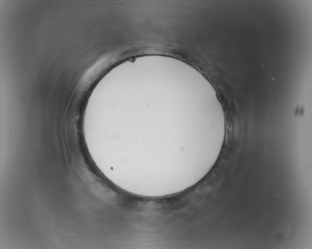 X0000112150197200909181431