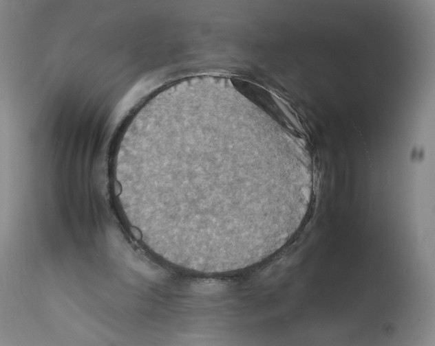 X0000112150198200909181431