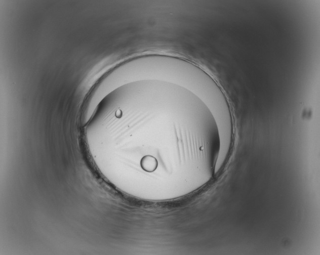X0000112150199200909181431