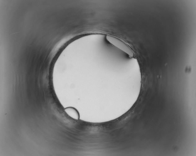 X0000112150200200909181431