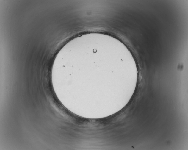 X0000112150201200909181431