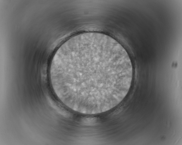 X0000112150202200909181431